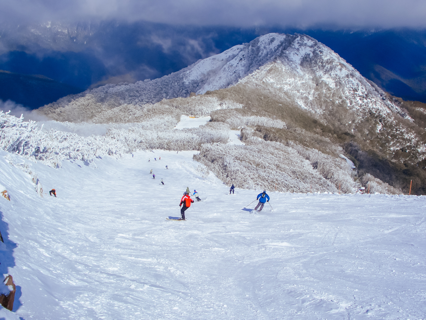 An image depicting the trail Little Mt Buller Trail and its surrounding area.