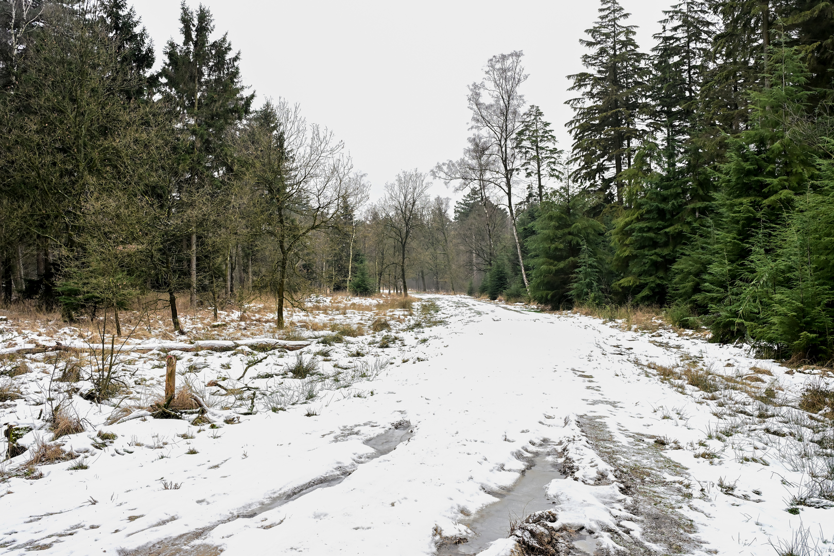 An image depicting the trail Kortjaksepad and Polder Weg Loop and its surrounding area.