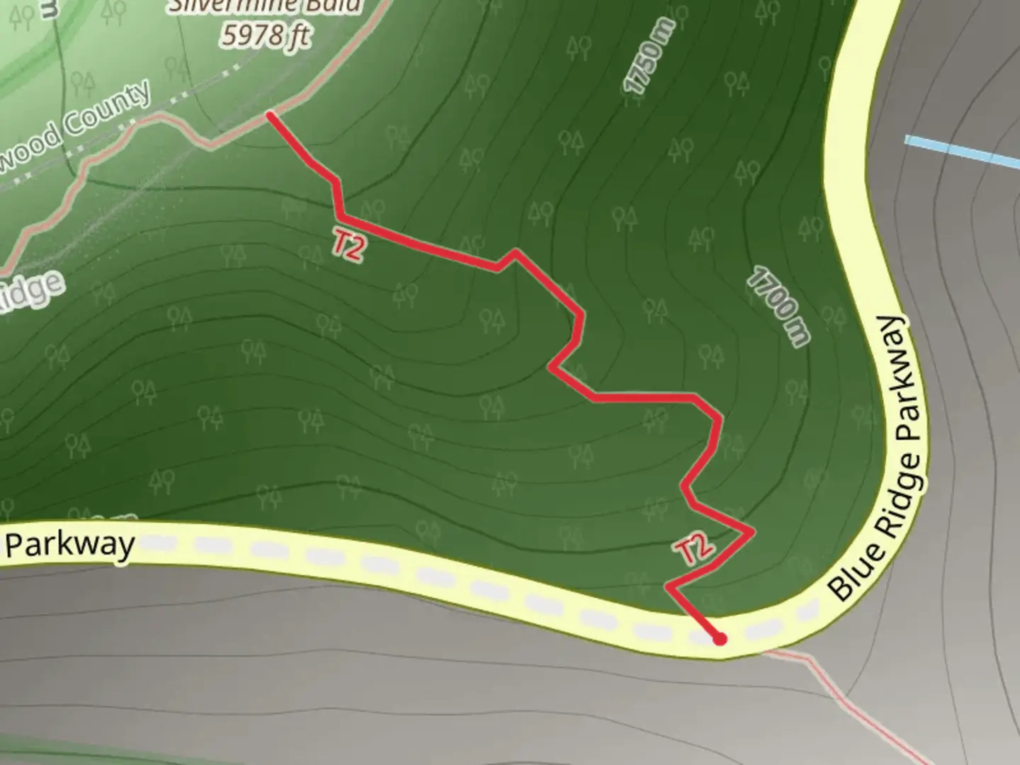 An image depicting the trail Silvermine Bald via Art Loeb Trail and its surrounding area.