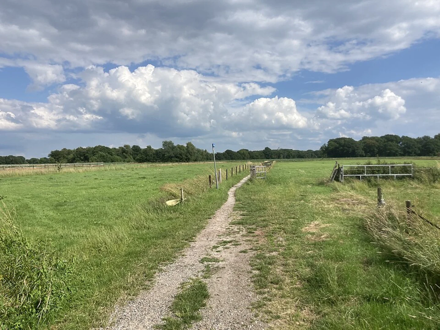 An image depicting the trail Onneresch, Appelbergen and Elzenhof Loop and its surrounding area.