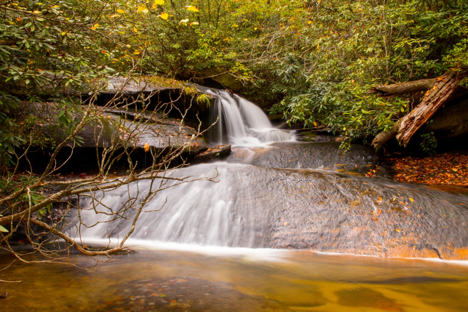 An image depicting the trail Cat Gap Bypass via Cat Gap Loop Trail and its surrounding area.