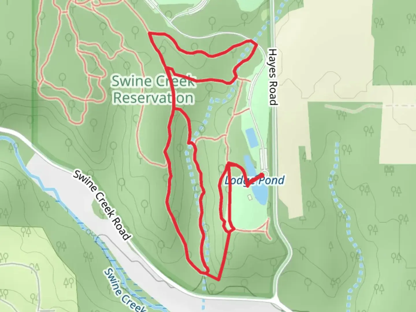 An image depicting the trail Lodge Pond, Valley and Siltstone Loop Trail and its surrounding area.