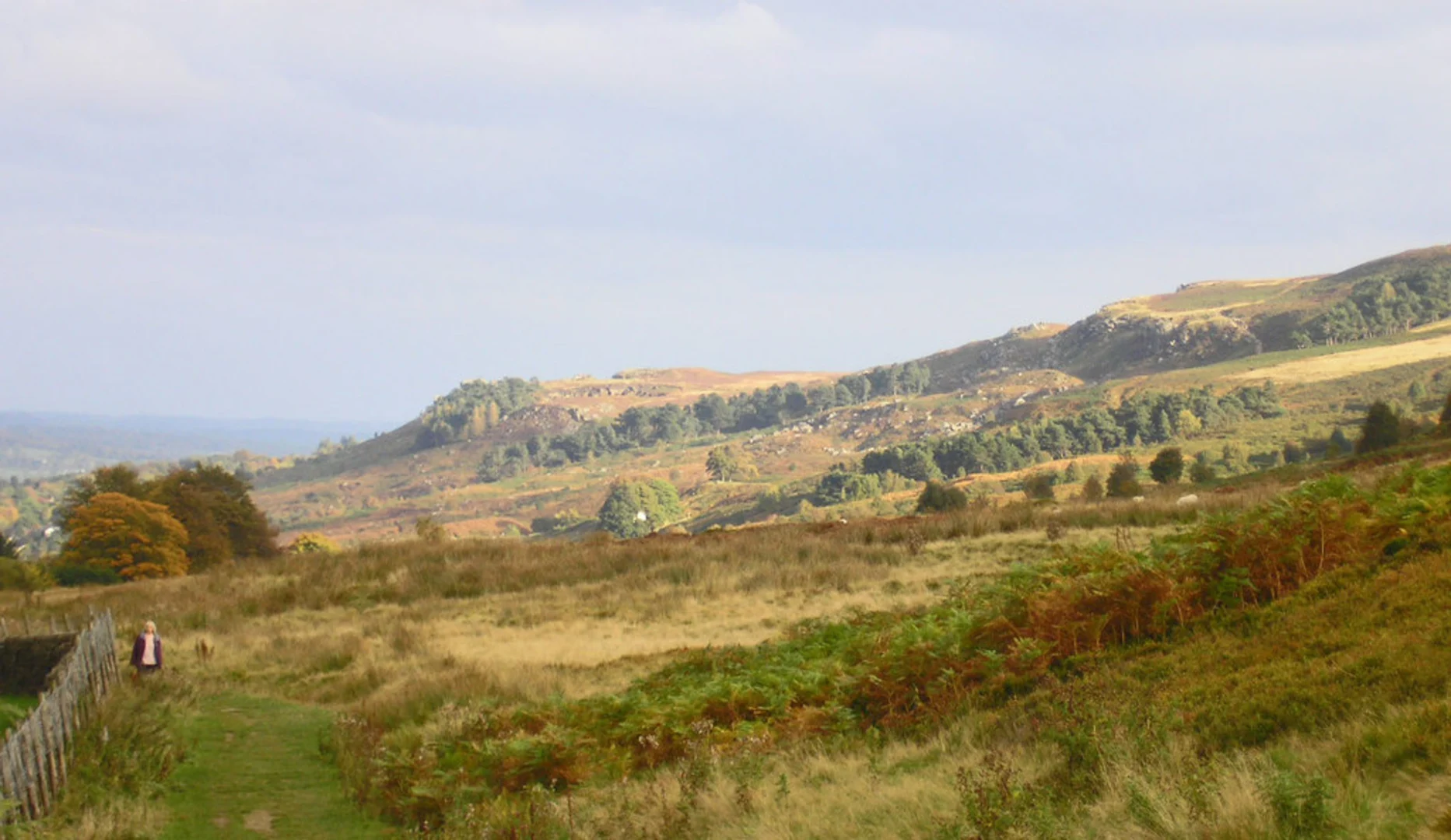 An image depicting the trail Willy Hall's Wood and Stanza Stones Loop and its surrounding area.