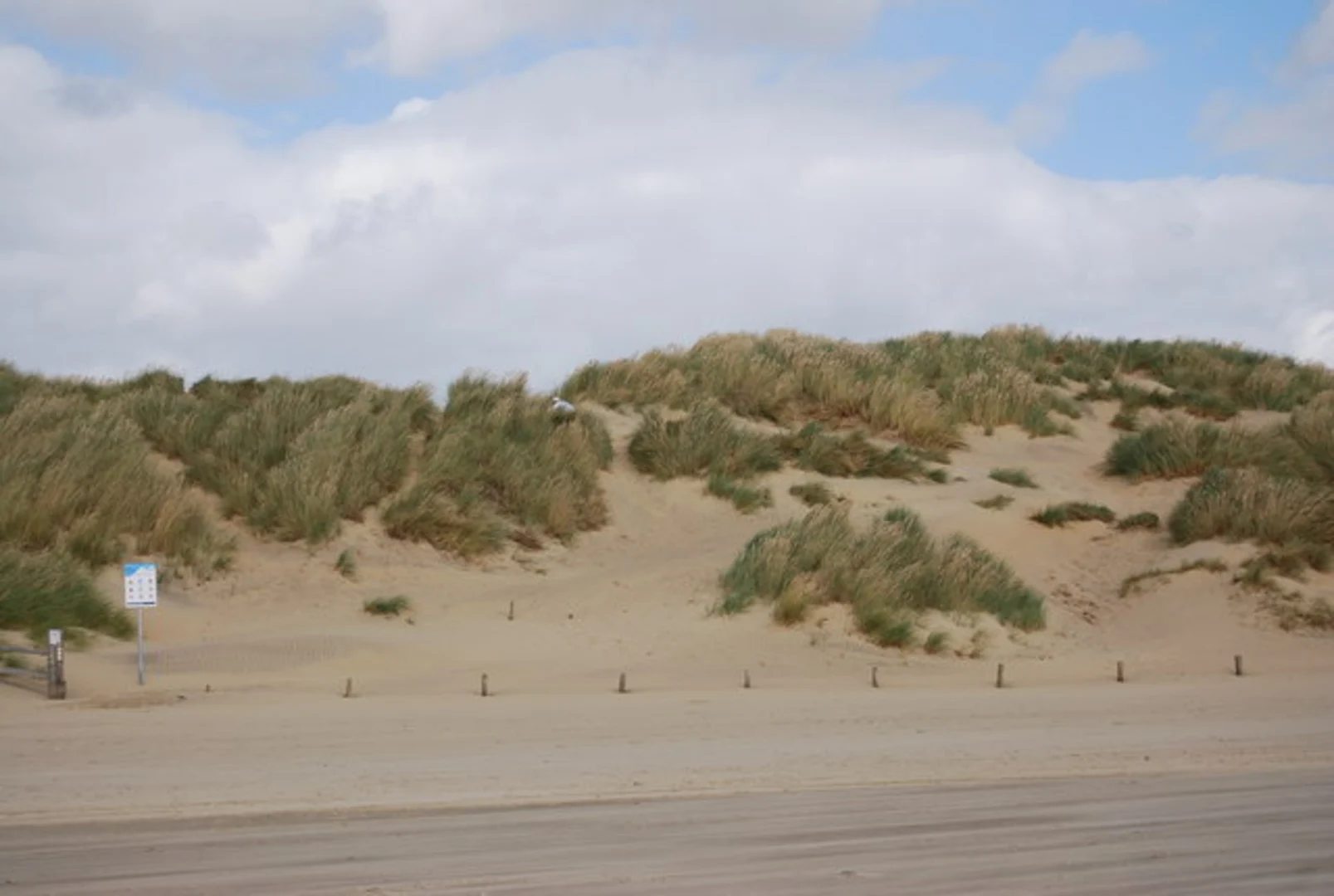 An image depicting the trail Camber Sands Walk and its surrounding area.