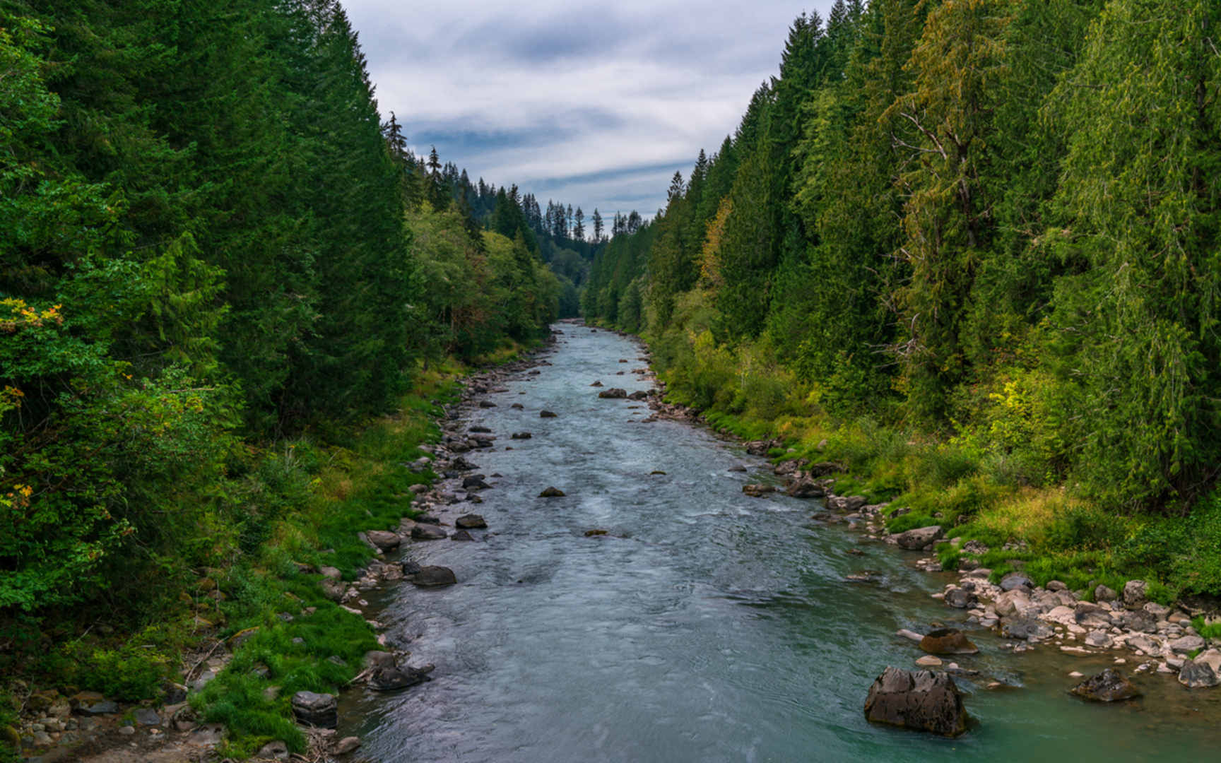 An image depicting the trail Iron Creek Campground Loop Trail and its surrounding area.