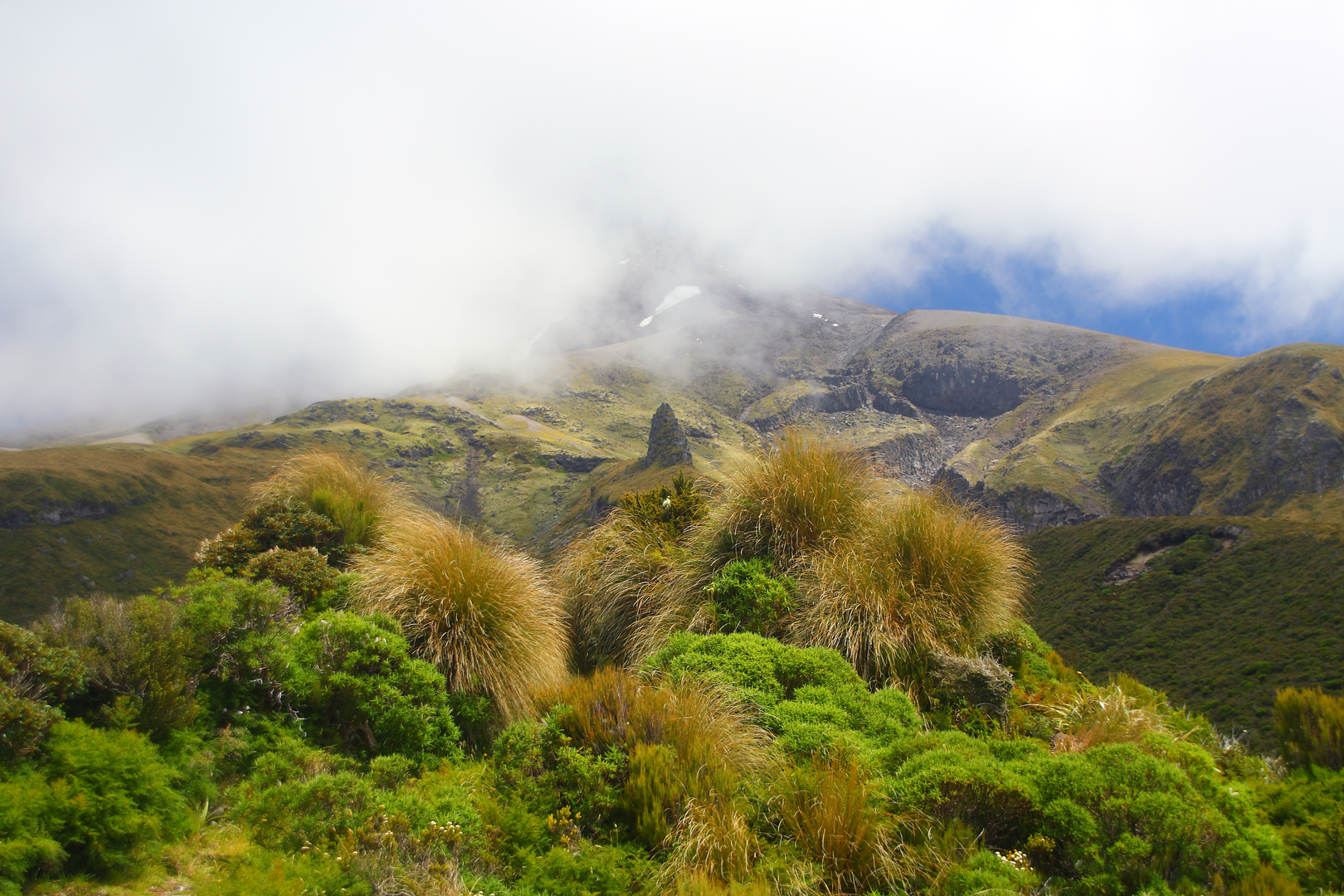 An image depicting the trail Veronica Loop Track and its surrounding area.