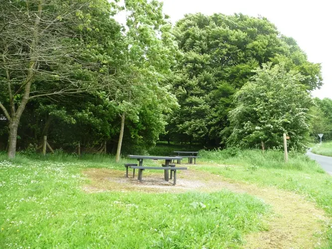 Wayrham Dale, Bradeham Dale, Worm Dale and Deep Dale Loop