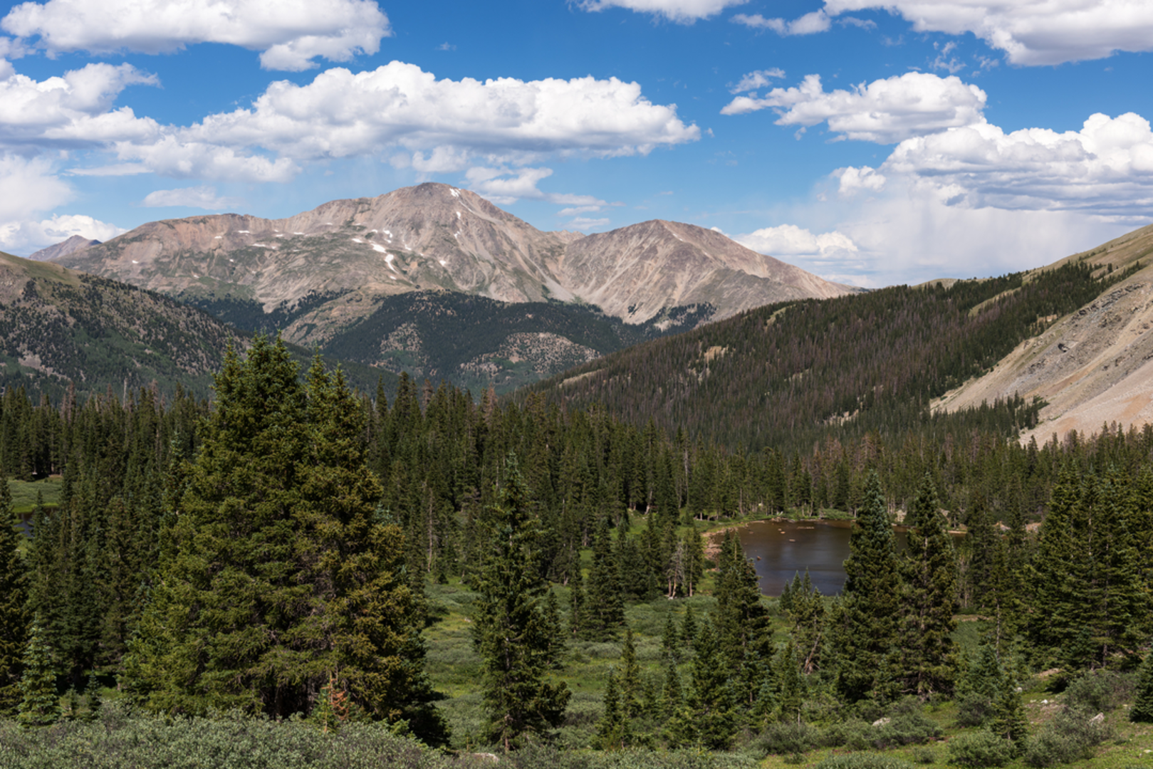 An image depicting the trail Mount Yale Trail via Browns Pass and its surrounding area.