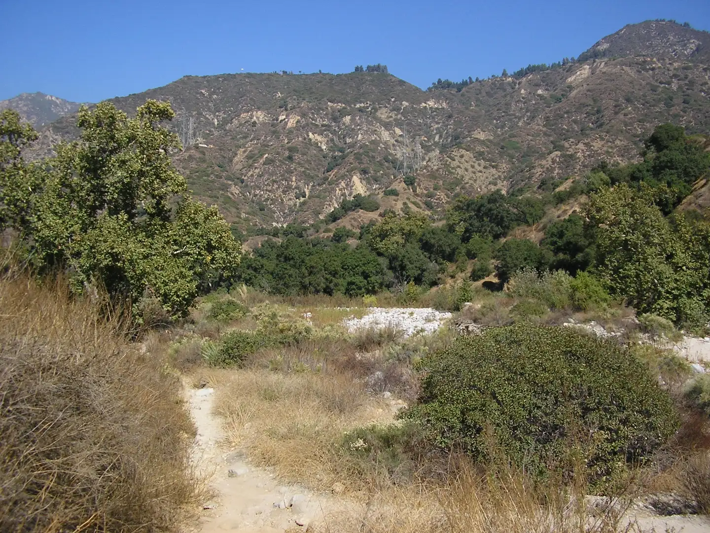 An image depicting the trail Eaton Canyon and Idlehour Trail and its surrounding area.