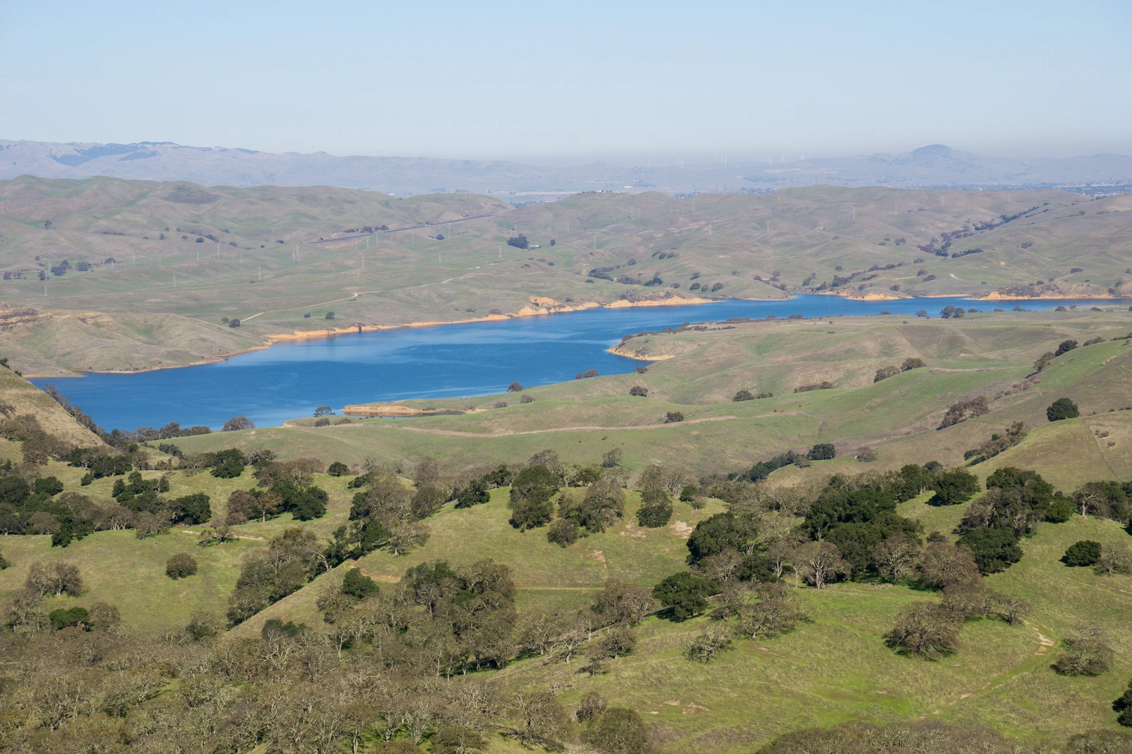 An image depicting the trail McCorkle Trail, Indian Joe Creek Trail and Cerro Este Road Loop and its surrounding area.