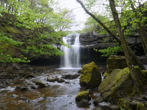 An image depicting the trail Summerhill Force Walk and its surrounding area.