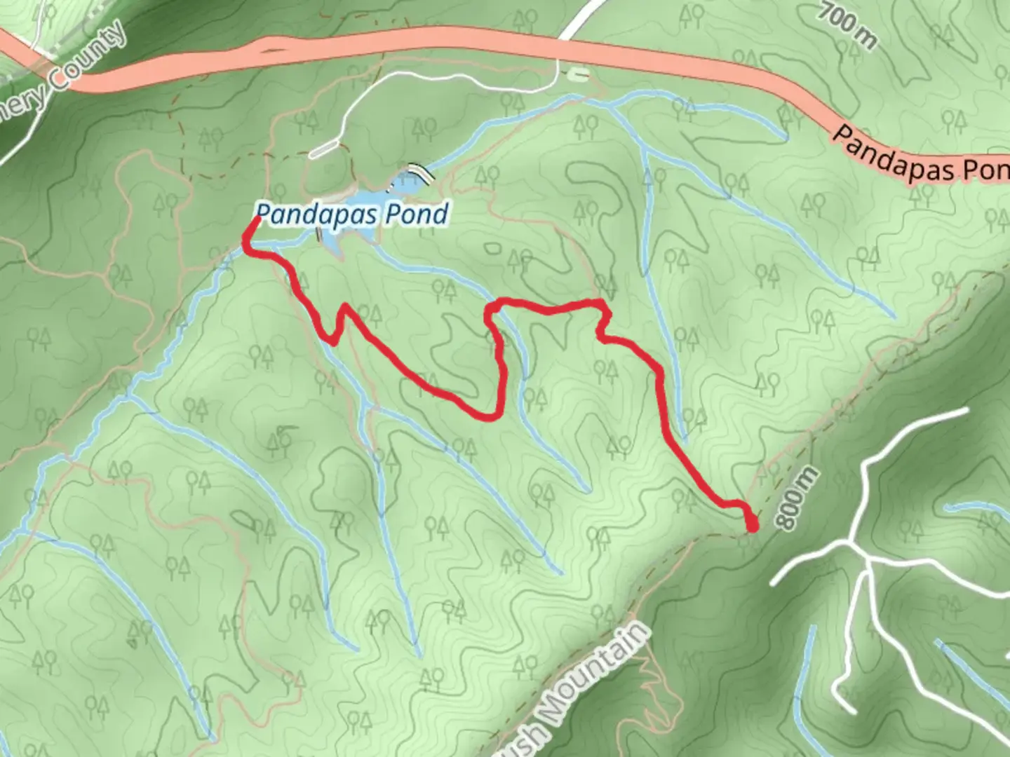 An image depicting the trail Joe Pye Trail via Horse Nettle Trail and its surrounding area.