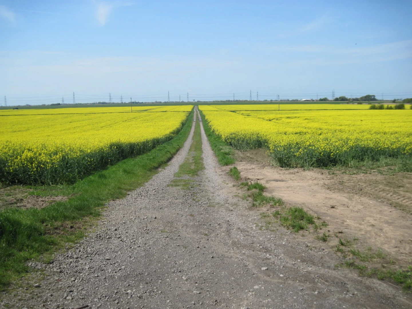 An image depicting the trail Flixborough and Burton Wood Loop and its surrounding area.