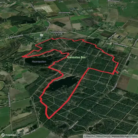 Hazenputten in Vresselse Bos