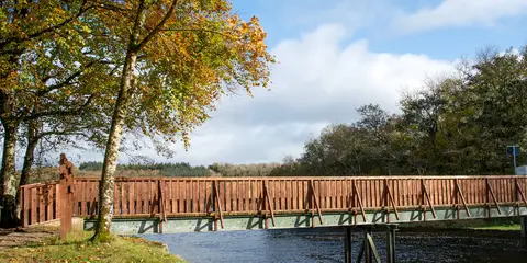 An image depicting the trail Killykeen Forest Park Loop and its surrounding area.