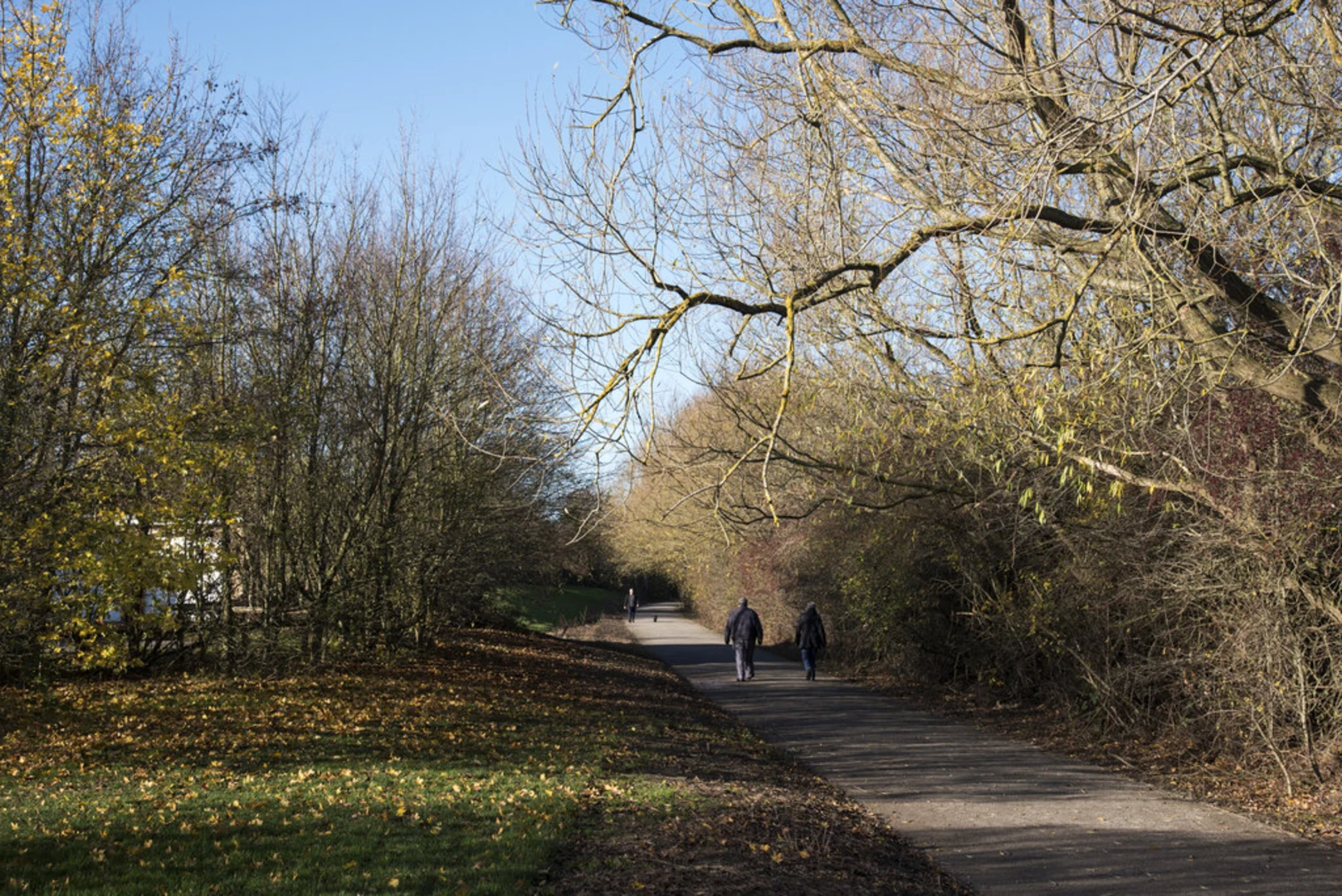 An image depicting the trail The Whinnies, Middleton St George Walk and its surrounding area.