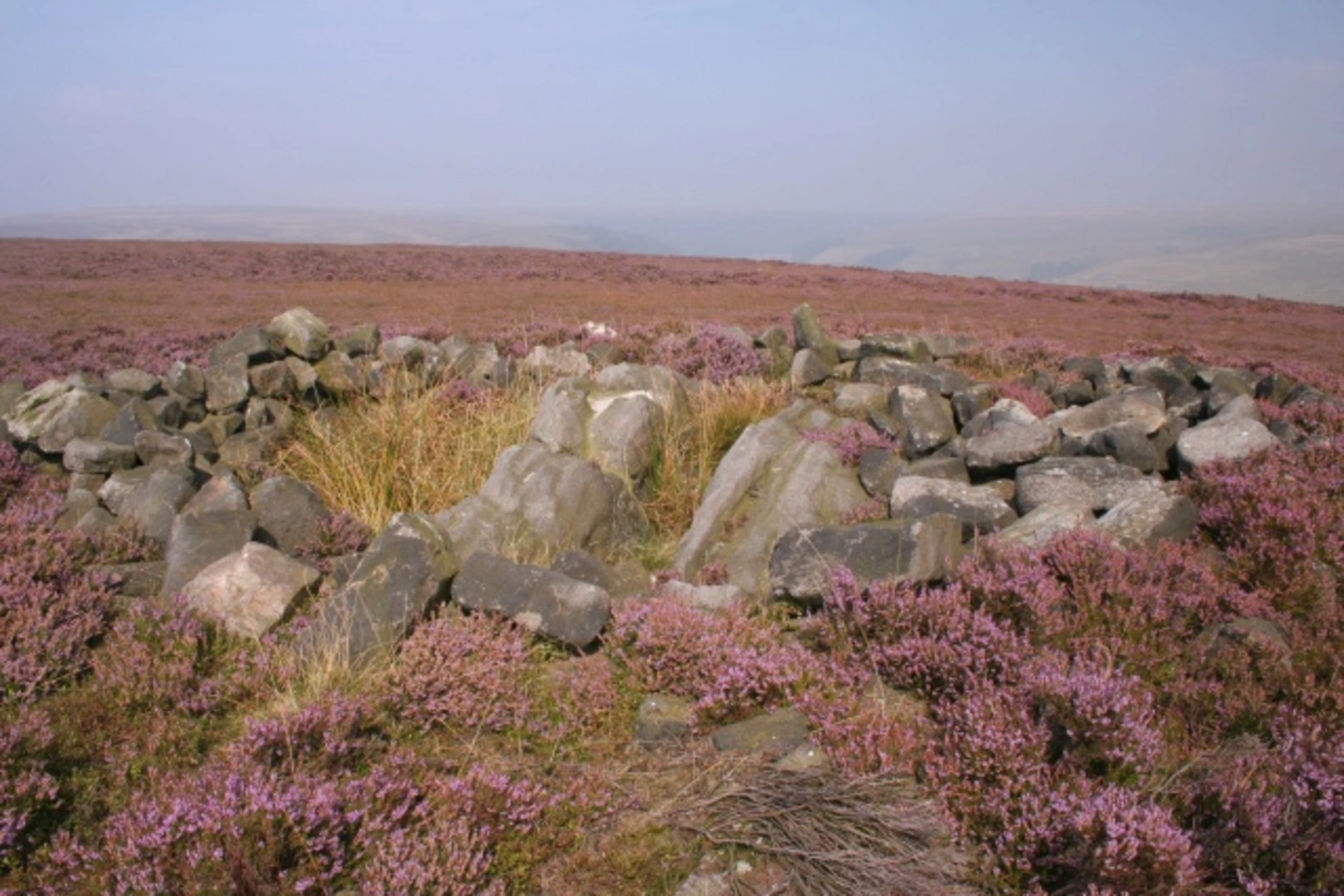 An image depicting the trail Crow Hill Nook and Jerusalem Farm LNR and its surrounding area.