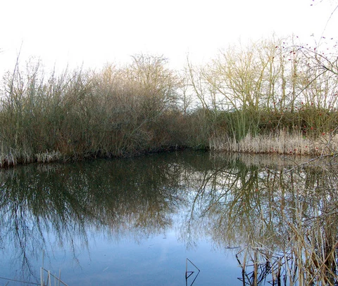 Napton on the Hill Loop via Grand Union Canal