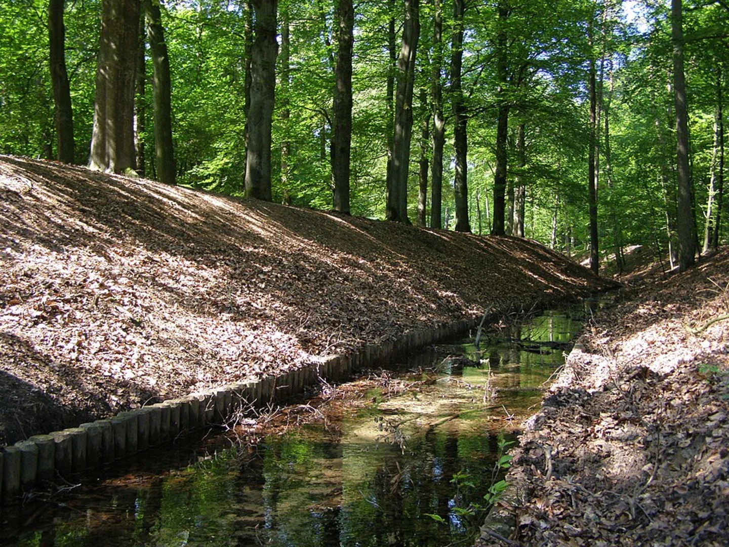 An image depicting the trail Vrijenbergerspreng and Hoge Berg Weg and its surrounding area.