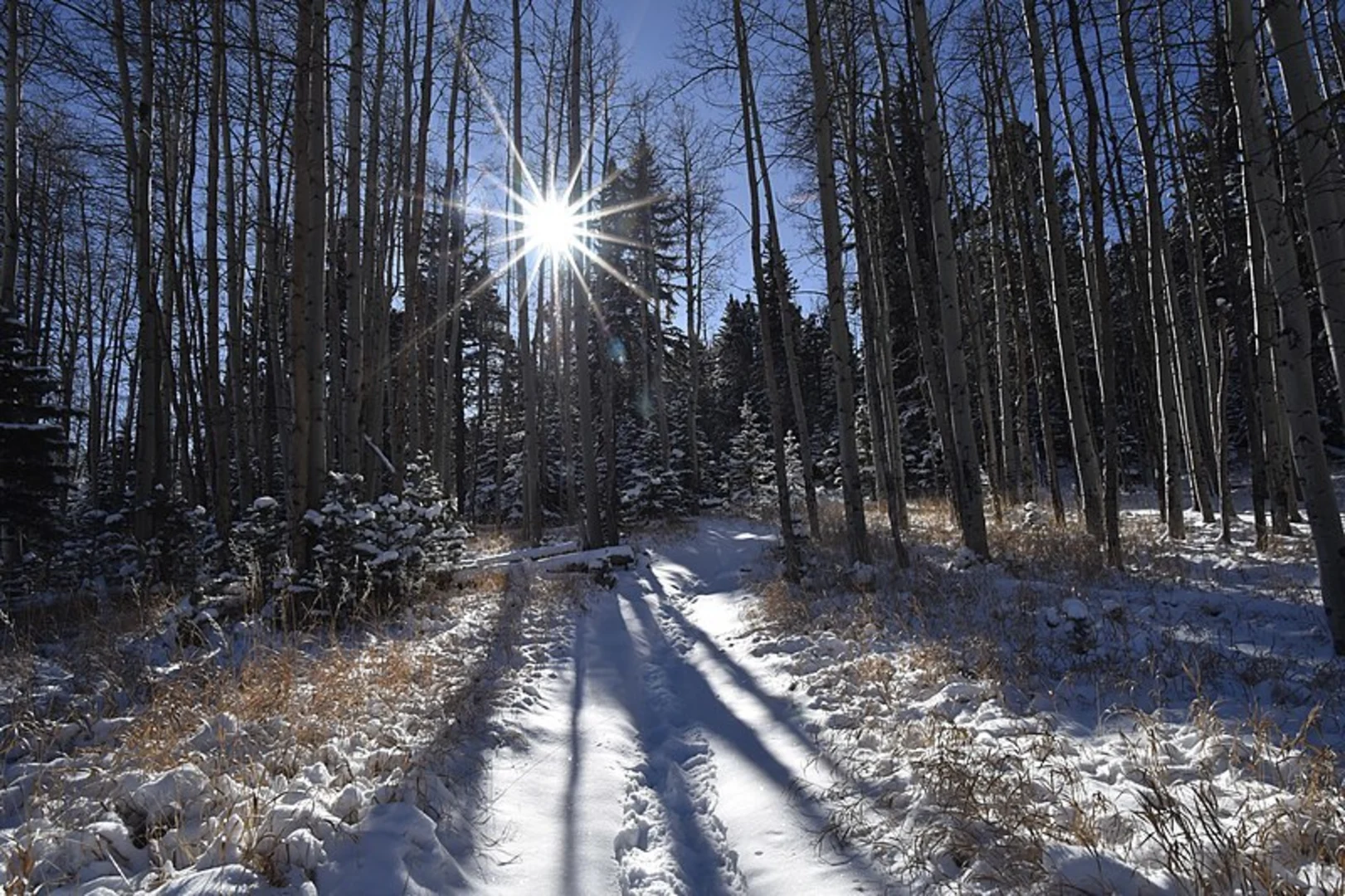 An image depicting the trail Saint Charles Trail and its surrounding area.