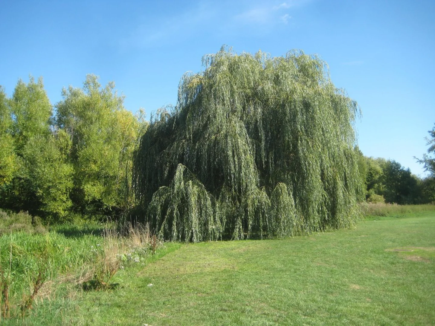 An image depicting the trail Chorleywood to Chesham Moor Walk and its surrounding area.