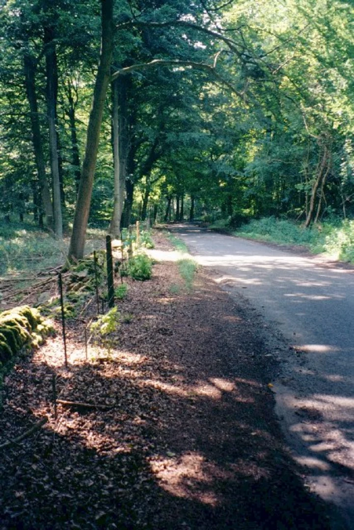 An image depicting the trail Chilson Loop via Knighton's Copse and its surrounding area.