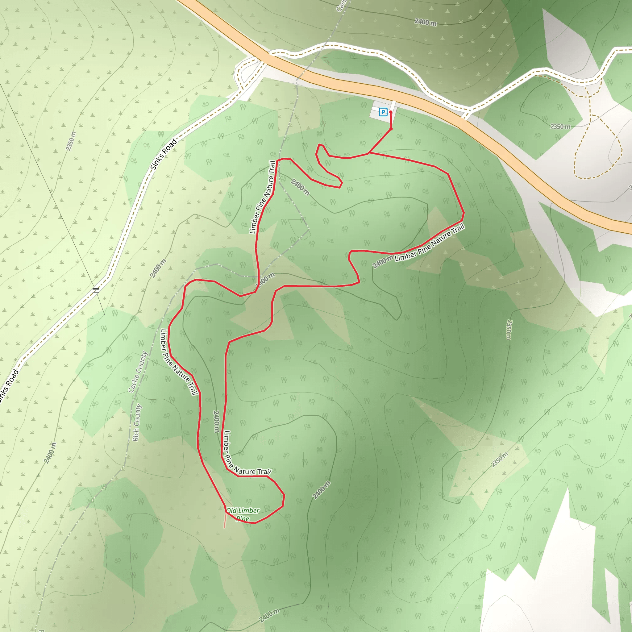 Limber Pine Nature Trail mobile static map