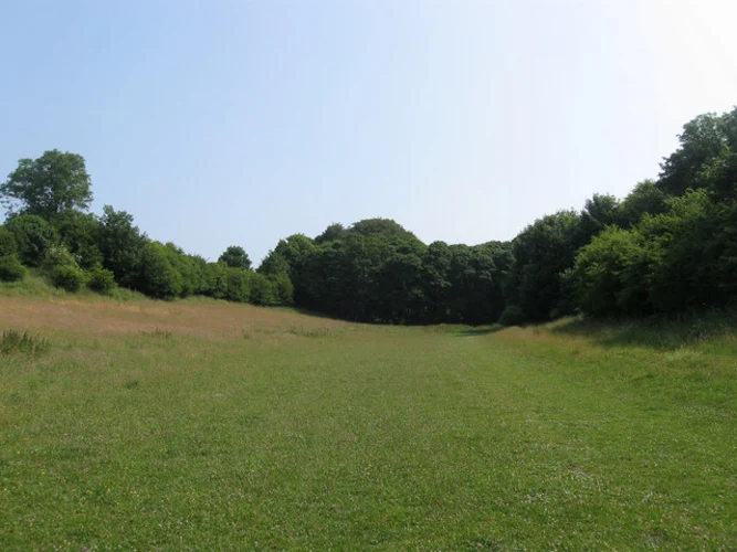 Cissbury Ring and Buddington Bottom Loop