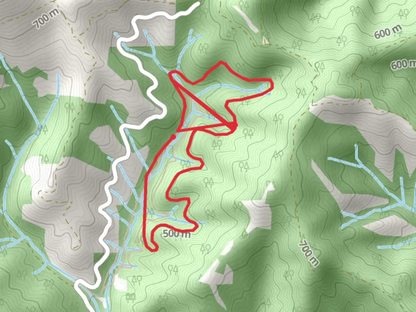 An image depicting the trail Walters Creek Interpretive Trail and its surrounding area.