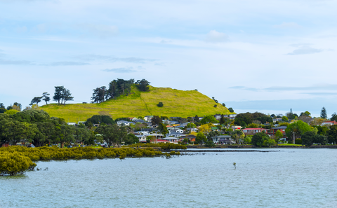 Mangere Mountain Loop