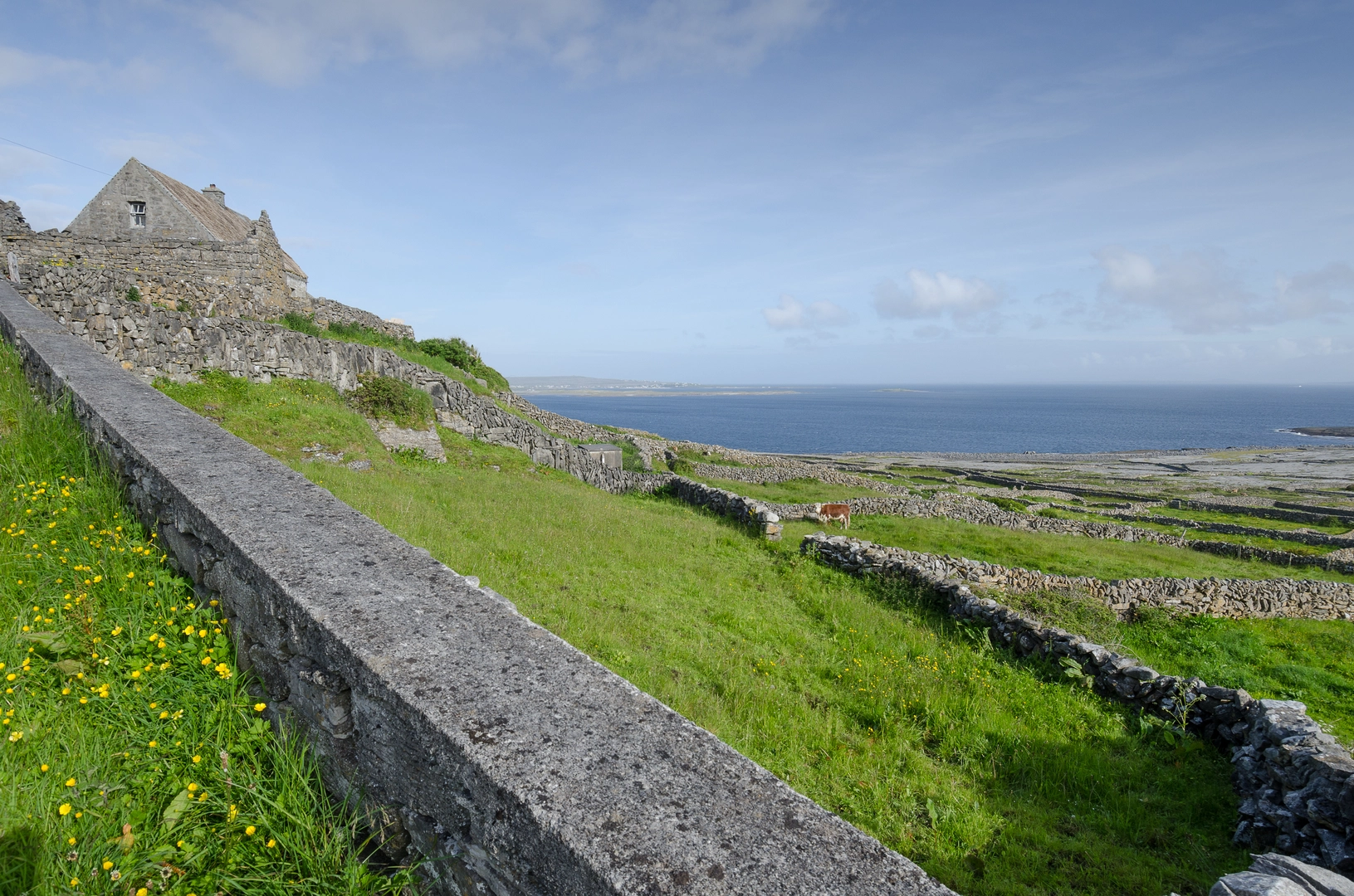 An image depicting the trail Inis Meain - Lub Cill Cheannannach and its surrounding area.