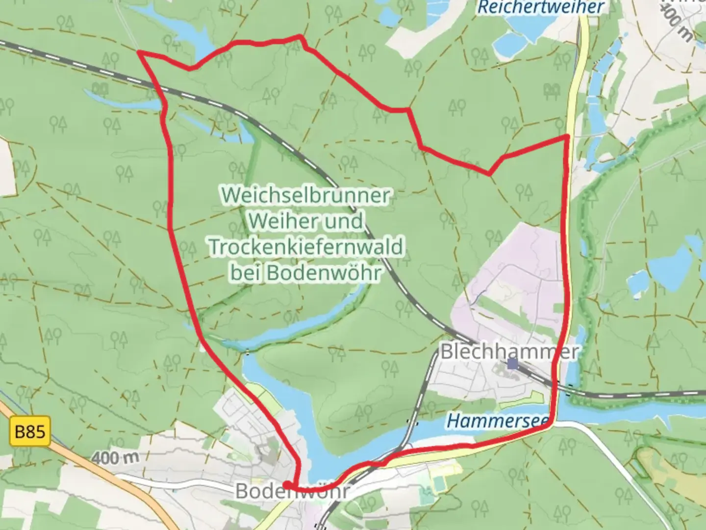 An image depicting the trail Weichselbrunner Weiher from Bodenwoehr and its surrounding area.