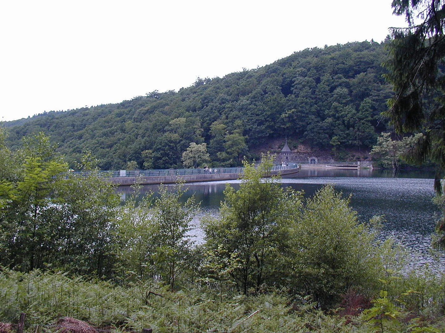 An image depicting the trail Hasper Talsperre Loop via Ennepetaler Rundweg and its surrounding area.