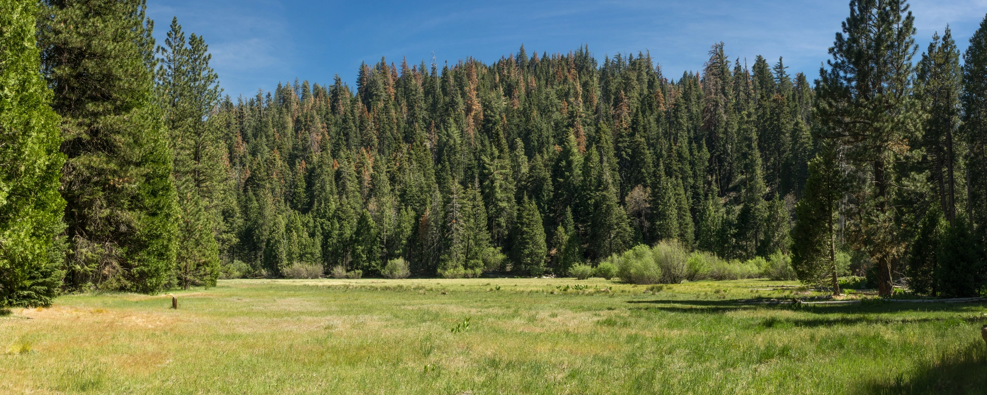 An image depicting the trail Long Meadow Loop Trail and its surrounding area.