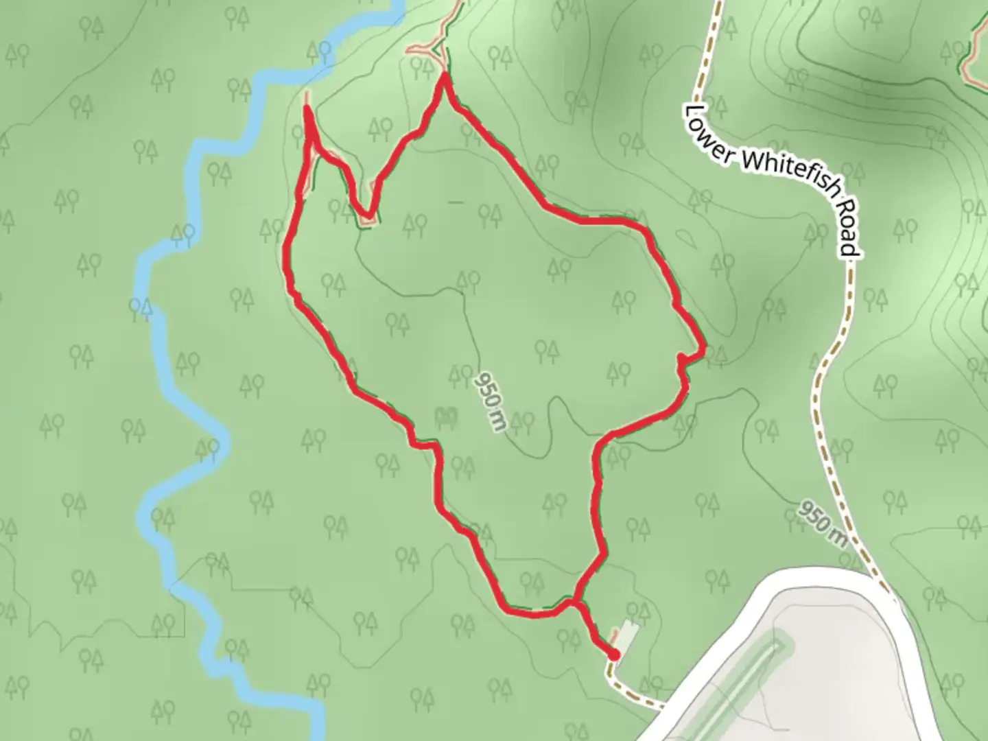 An image depicting the trail Whitefish Trail - Swift Creek Loop and its surrounding area.