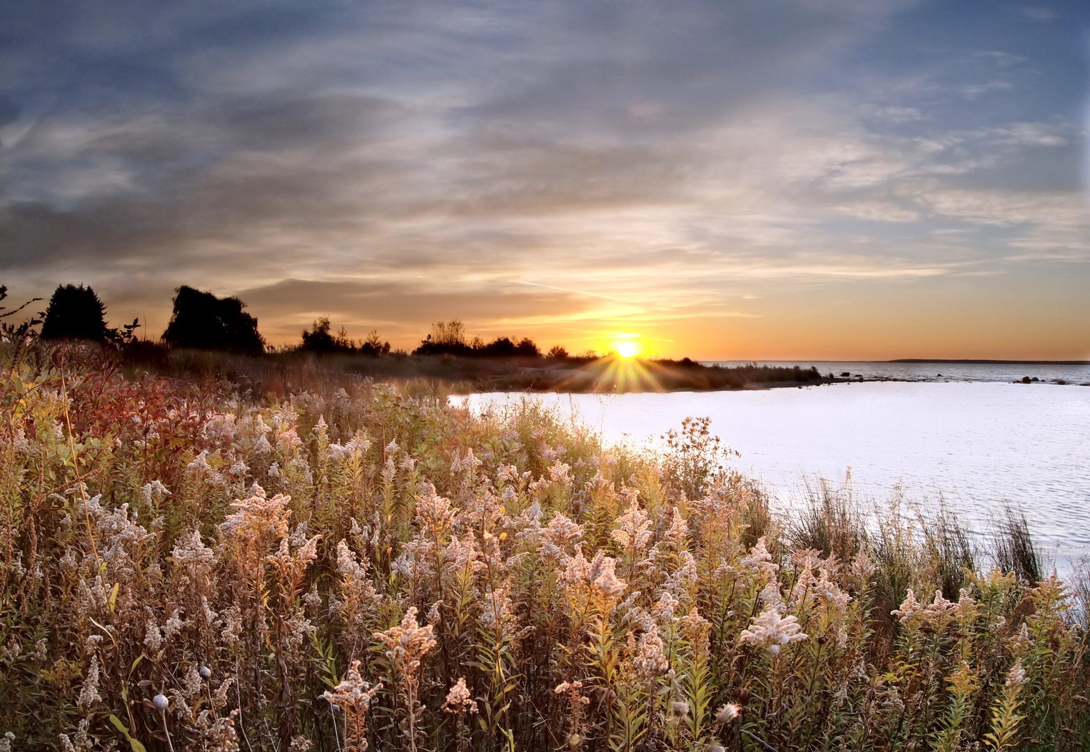 An image depicting the trail Shore To Shore Trail and its surrounding area.