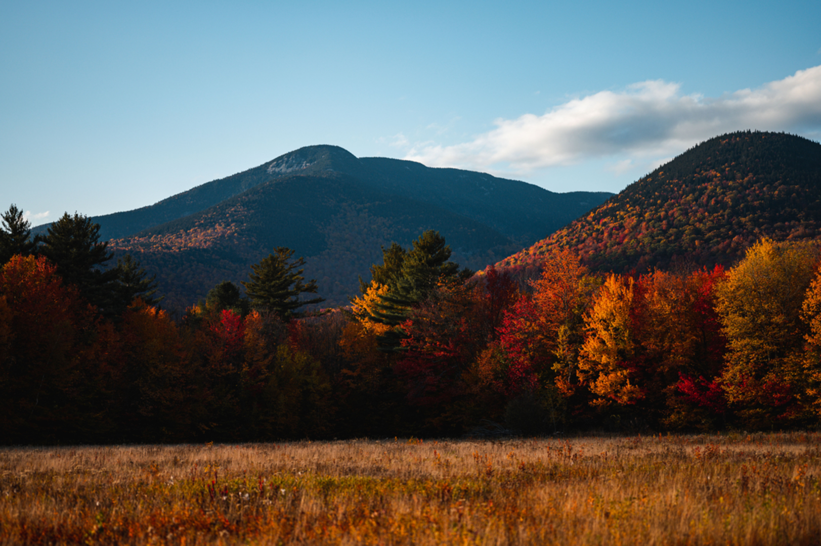 An image depicting the trail Mount Whiteface via Blueberry Ledge Trail and its surrounding area.