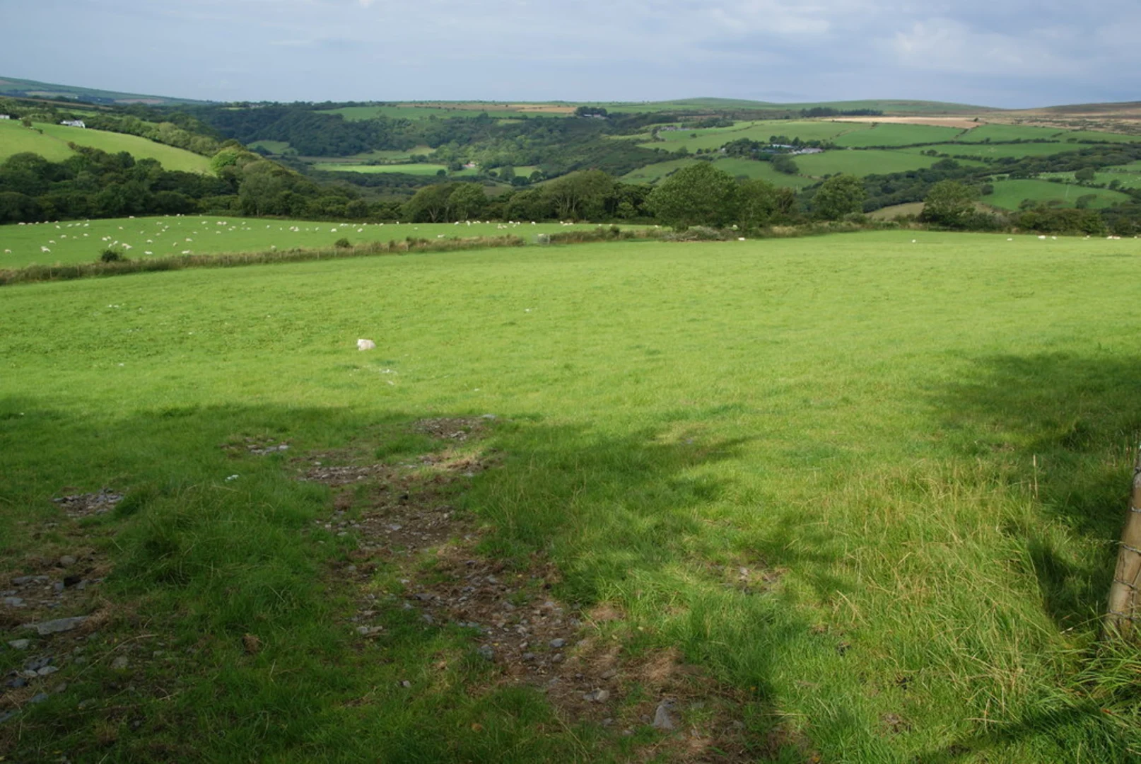 An image depicting the trail Cwm Gwaun - Gelli Fawr and its surrounding area.
