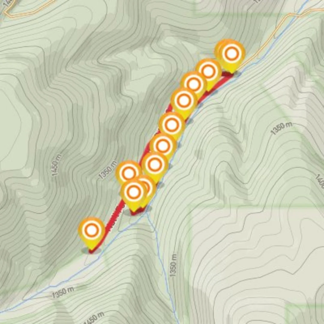 An image depicting the trail Salmon Creek #1 and its surrounding area.