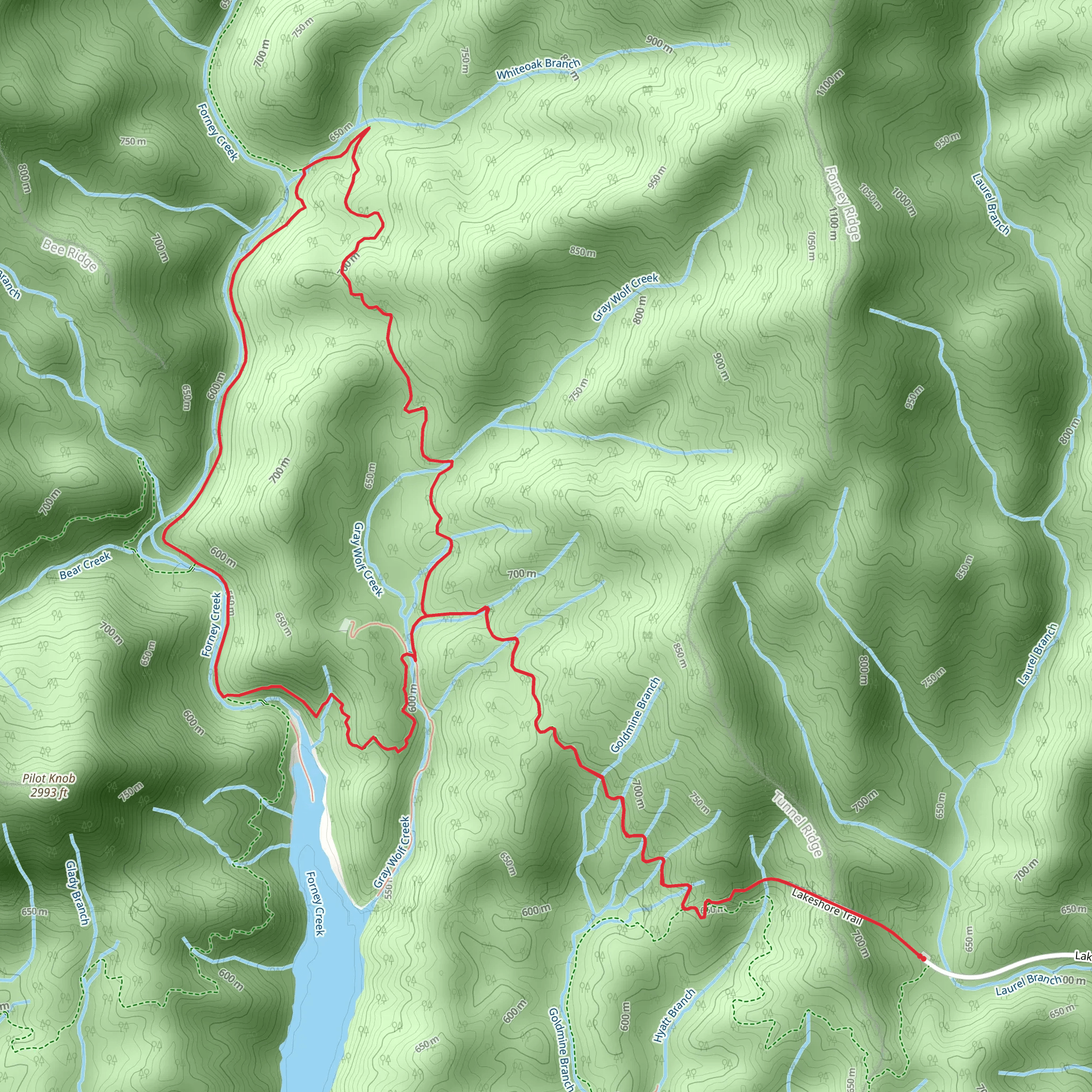 Whiteoak Branch and Forney Creek Loop Trail via BMT mobile static map