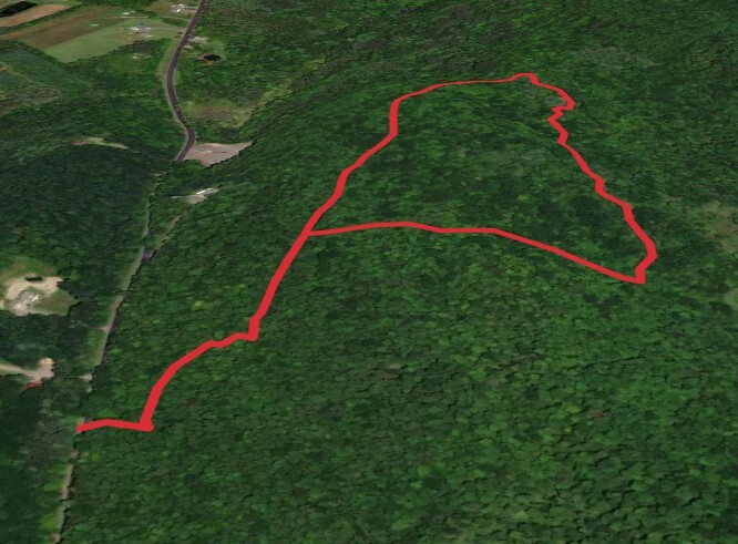 Maple Lane White, Yellow and Blue Loop