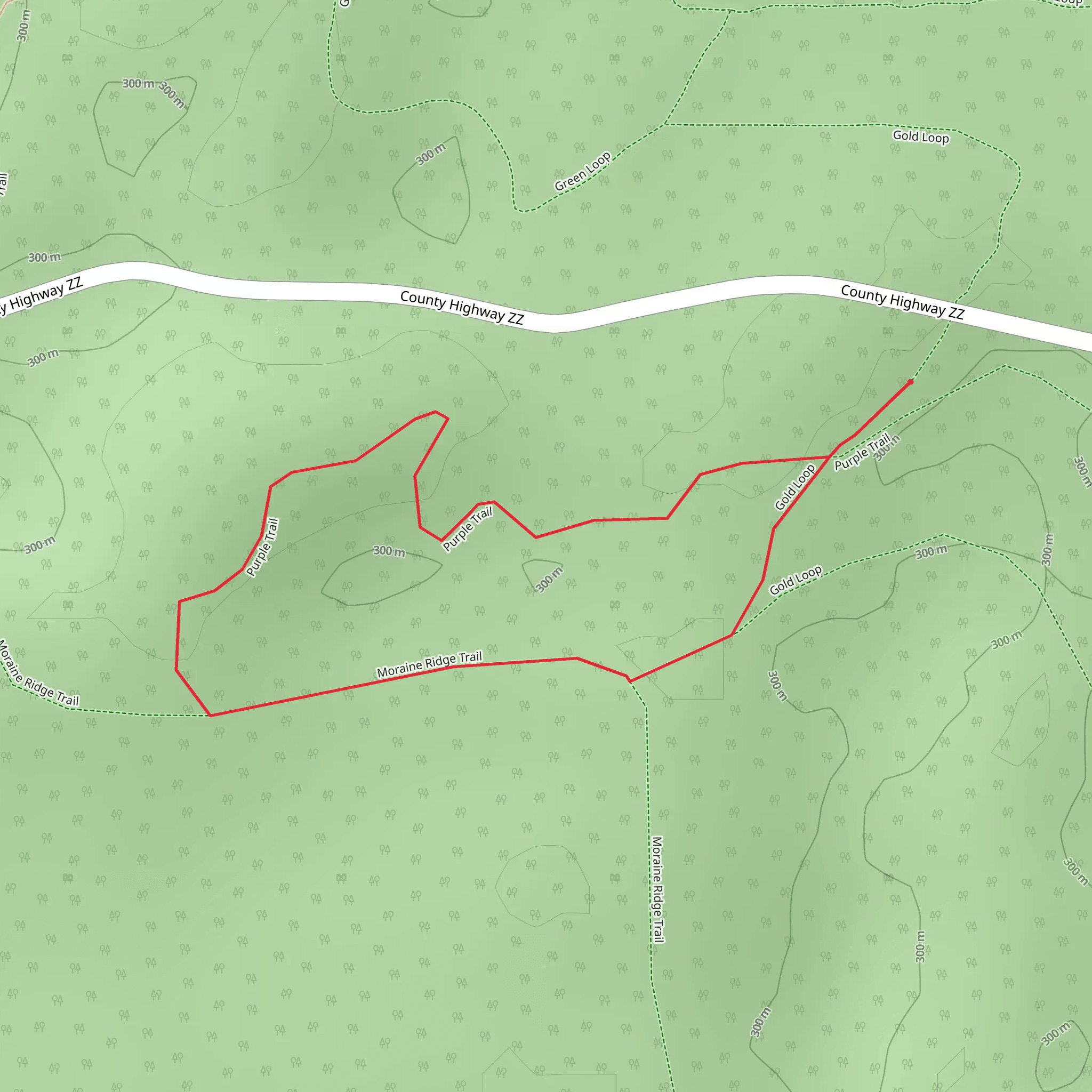Purple Loop mobile static map