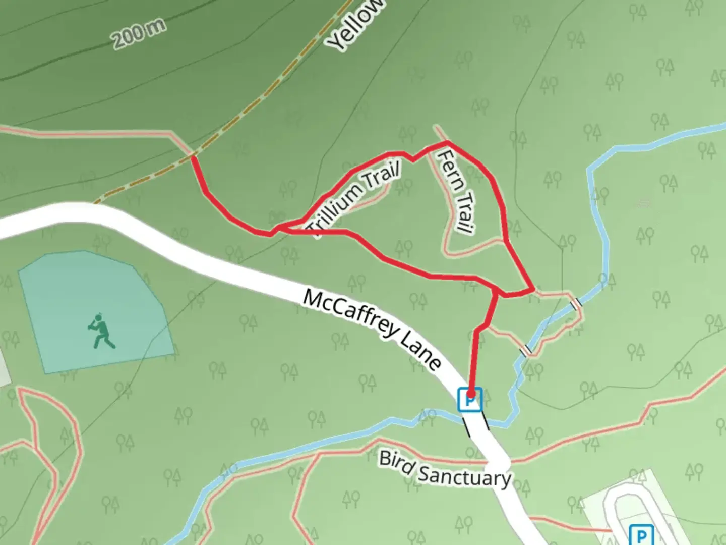 An image depicting the trail Wildflower and Swamp Loop Trail and its surrounding area.