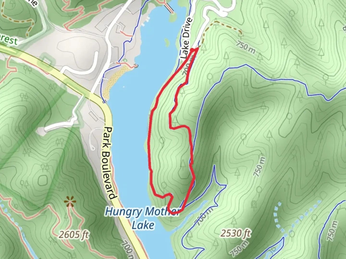 An image depicting the trail Lake Drive Loop and its surrounding area.
