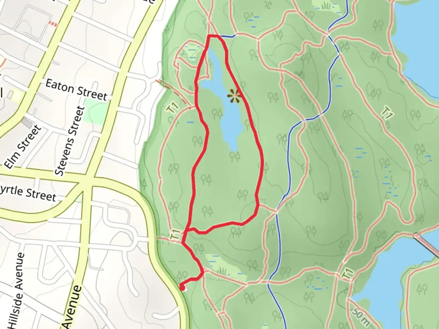 An image depicting the trail Long Pond Nature Loop Trail and its surrounding area.