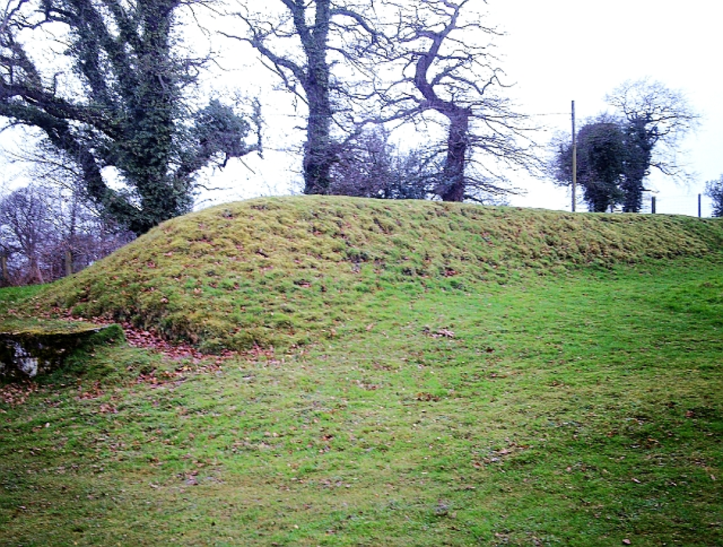 An image depicting the trail Lanercost to Edentown Walk and its surrounding area.