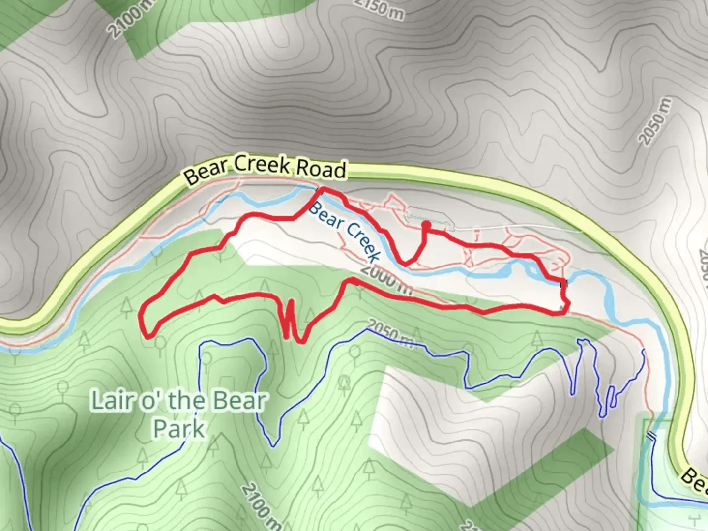 An image depicting the trail Bruin Bluff Loop Trail and its surrounding area.