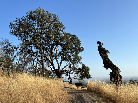 Oakwood - Alta Vista Loop Trail
