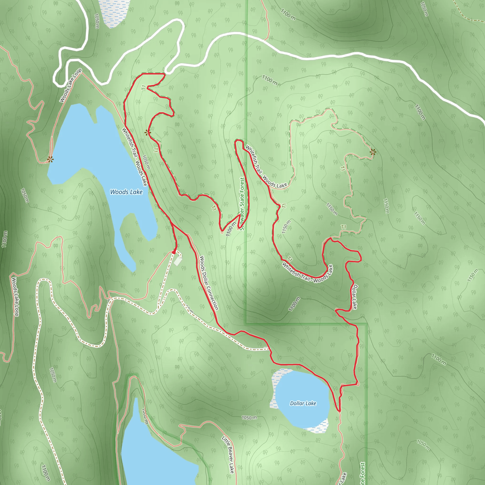 Whitefish Trail - Woods Lake Loop mobile static map