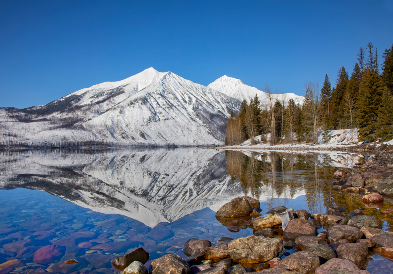 An image depicting the trail Camas Creek Trail and its surrounding area.